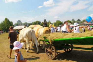 Öküz Sorochyn adil tarih ile sepeti