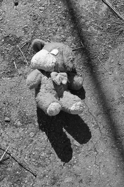 舗装の捨て犬人形 — ストック写真