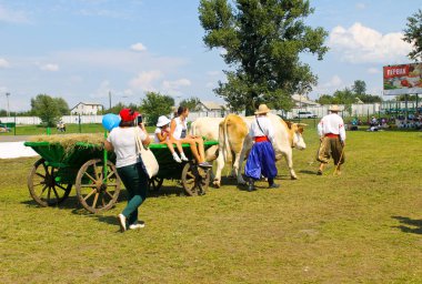 Öküz Sorochyn adil tarih ile sepeti