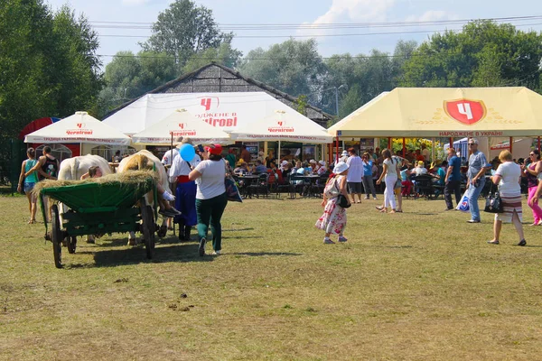 Koszyk z woły na Sorochyn Targi — Zdjęcie stockowe