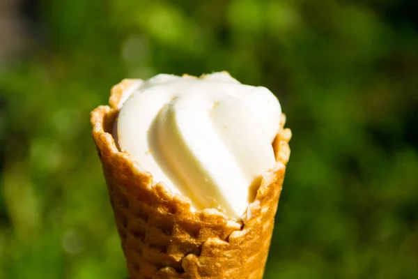 Cone de waffle com sorvete — Fotografia de Stock