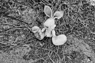 Terk edilmiş bunny bebek kaldırıma