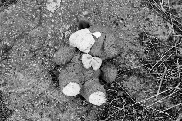 Bambola cane abbandonato sul marciapiede . — Foto Stock
