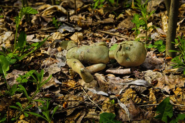 Ormandaki terk edilmiş eski kırık oyuncak bebek — Stok fotoğraf