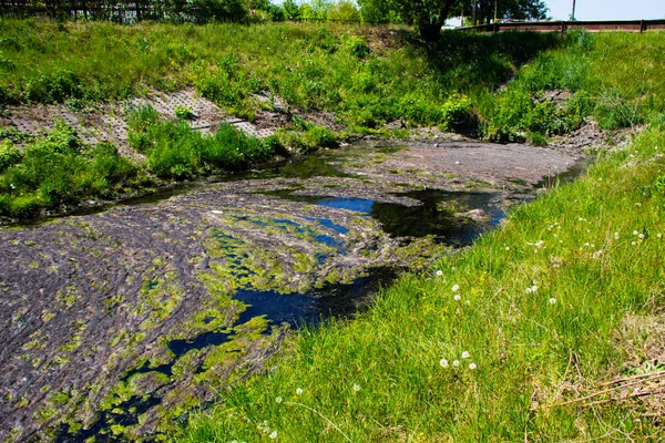 Αποστράγγισης του νερού στο κανάλι. Πράσινα φύκια στην επιφάνεια του νερού — Φωτογραφία Αρχείου