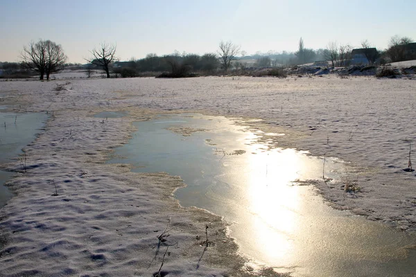 Donmuş su ve ağaçları ile kış çayır