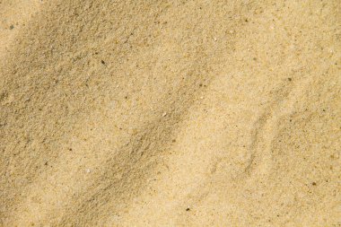 Sandy beach için arka plan