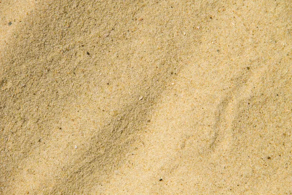 Sandy beach için arka plan