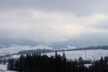 Ukrayna 'daki Karpat Dağları