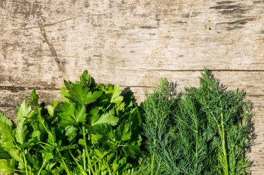 Rustik ahşap masa üzerinde yeşil taze dereotu ve maydanoz otlar. 