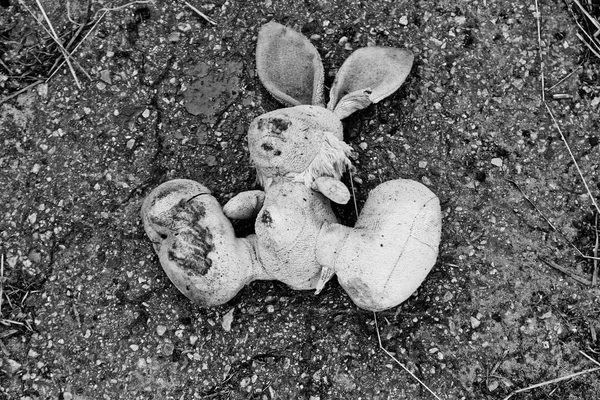 舗装の放棄されたバニー人形 — ストック写真