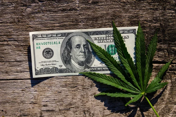 Ahşap masa yeşil esrar yaprak ve 100 dolarlık faturası