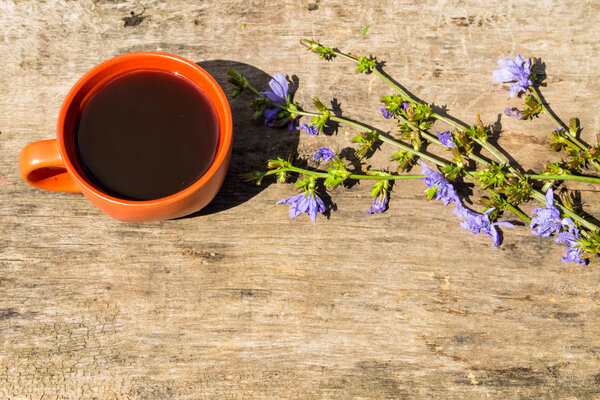 Cup with chicory drink and blue chicory flowers 