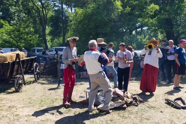 Народні ігор Паламарчук на виконання під час фестивалю — стокове фото