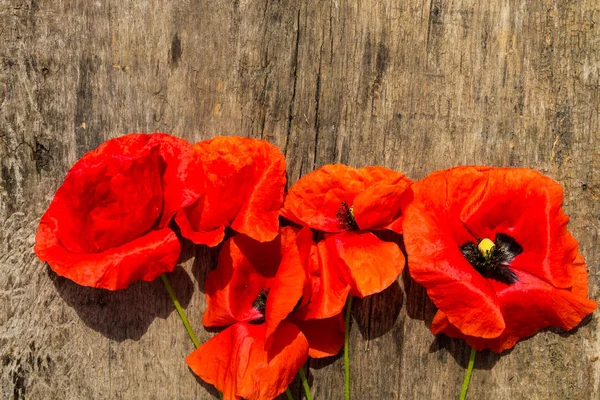 Rote Mohnblumen auf hölzernem Hintergrund — Stockfoto