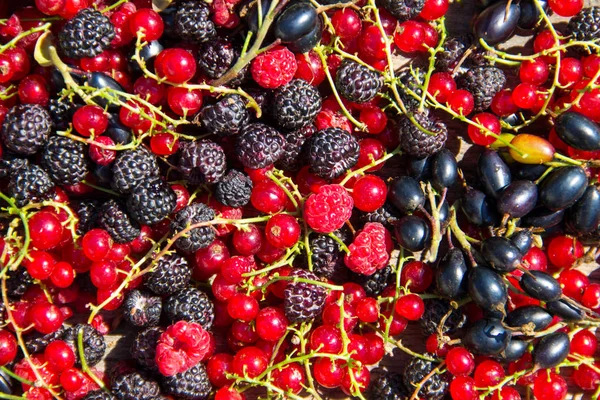 Taze çilek, böğürtlen, ahududu, frenk üzümü ve blackcurrant