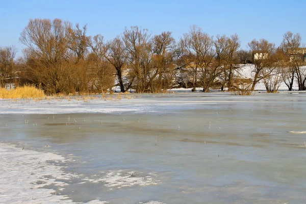 Pradera de invierno con agua congelada y árboles — Foto de Stock