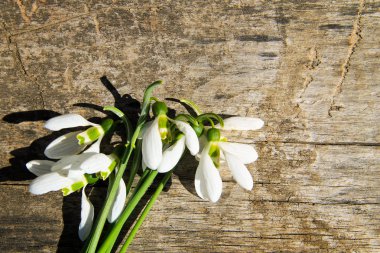 Ahşap arka plan üzerinde beyaz kardelen buket