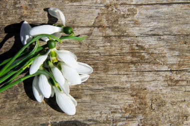 Ahşap arka plan üzerinde beyaz kardelen buket
