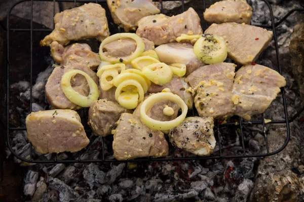 Viande de porc crue épicée sur le gril en plein air. Préparation du shish kebab — Photo