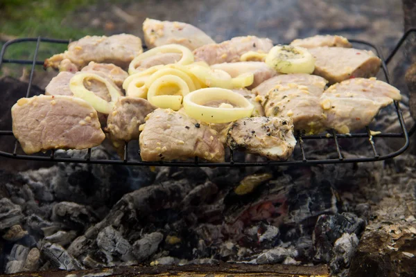 Baharatlı Çiğ domuz eti ızgara açık. Şiş kebap hazırlanması