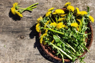 Sepette rustik ahşap zemin üzerine sarı karahindiba çiçekler. 