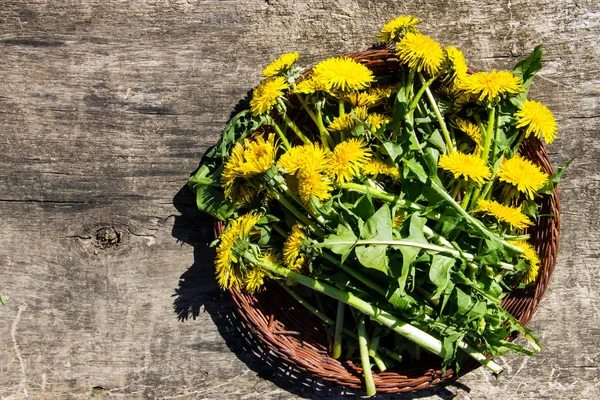 Sepette rustik ahşap zemin üzerine sarı karahindiba çiçekler. 