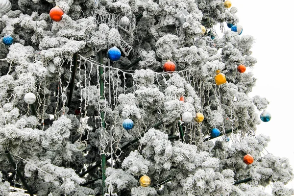 Christmas decorations on the Christmas tree — Stock Photo, Image
