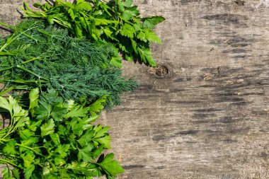 Rustik ahşap masa üzerinde yeşil taze dereotu ve maydanoz otlar