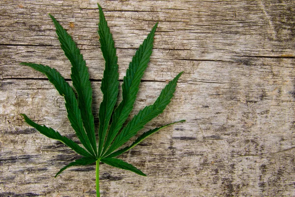 Gröna cannabis leaf på trä bakgrund — Stockfoto