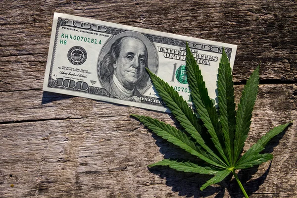 Konopi zielony liść i 100 dolarów bill na drewnianym stole — Zdjęcie stockowe