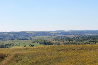 Çayır, ağaçlar ve tepeler ile manzara