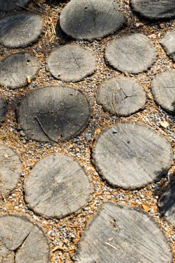 Kaldırım kıyılmış günlükleri 