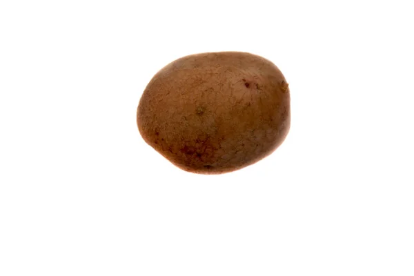 Satu kentang diisolasi pada latar belakang putih — Stok Foto