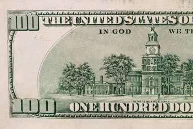 100 dolarlık makro çekim.