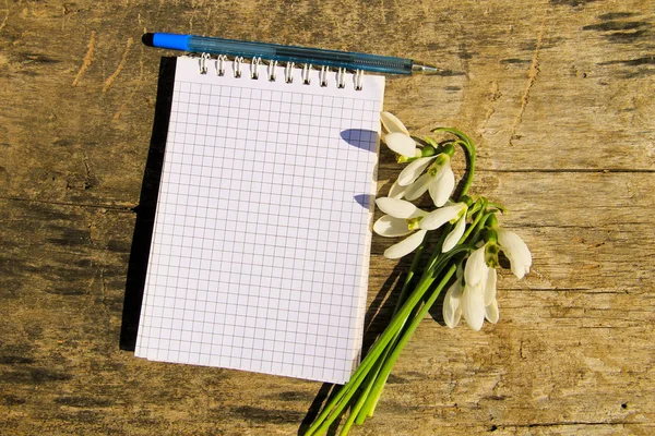 Buket boş not defteri ve kalem üzerinde ahşap beyaz kardelen 