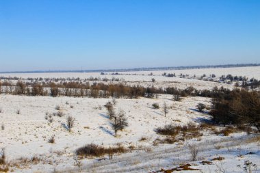 Ağaçlı ve tepeli manzara