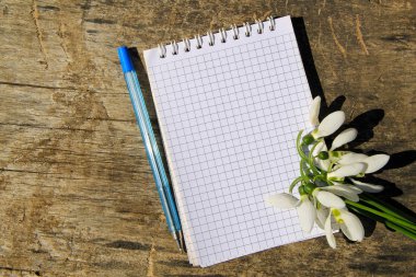 Buket boş not defteri ve kalem ile beyaz kardelen 