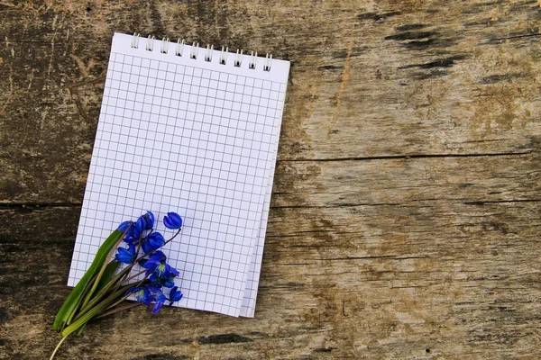 Blank notepad with blue scilla flowers on wooden background