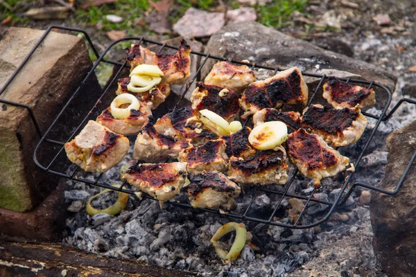 Mięso wieprzowe pieczenia na grillu. Mięso na węgielkach — Zdjęcie stockowe