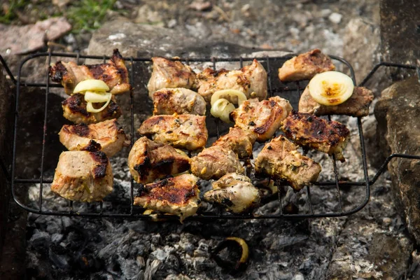 Domuz eti ızgarada kavurma. Kömürlerin üzerinde et — Stok fotoğraf