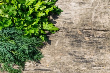 Rustik ahşap masa üzerinde yeşil taze dereotu ve maydanoz otlar.