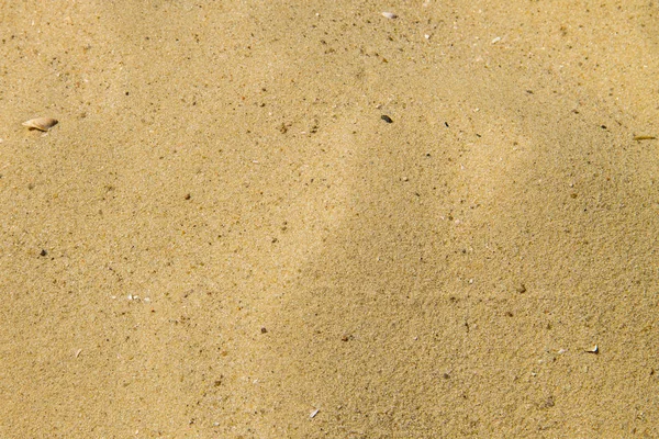 Texture sable. Plage de sable pour le fond — Photo