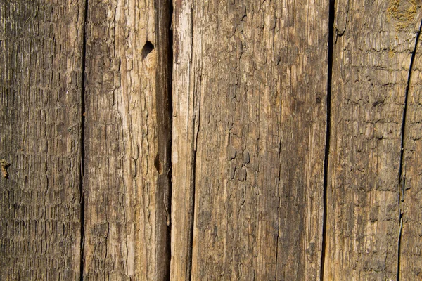 Old planks. Vintage wooden background — Stock Photo, Image