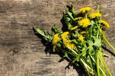 Rustik ahşap zemin üzerine sarı karahindiba çiçekler. Üstten Görünüm