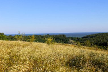 Ağaçlar, çayır, tepeler ve nehir manzara