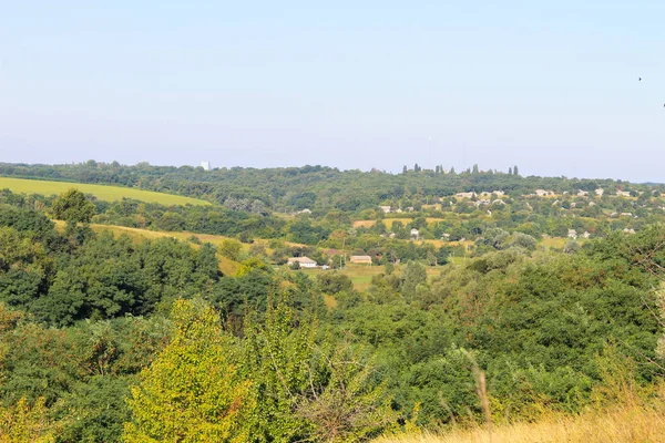 Літній пейзаж з луком, деревами і пагорбами — стокове фото