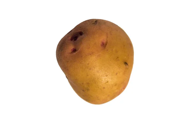 Potatis isolerad på vit bakgrund — Stockfoto