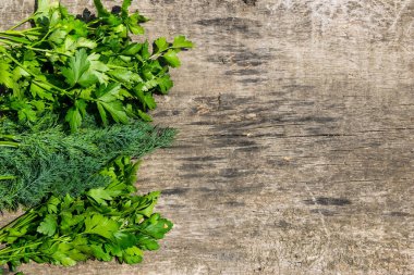 Taze yeşil dereotu ve maydanoz otlar rustik ahşap masa üzerinde. En iyi v