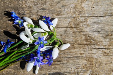 Ahşap arka plan üzerinde ilk bahar çiçekleri buketi